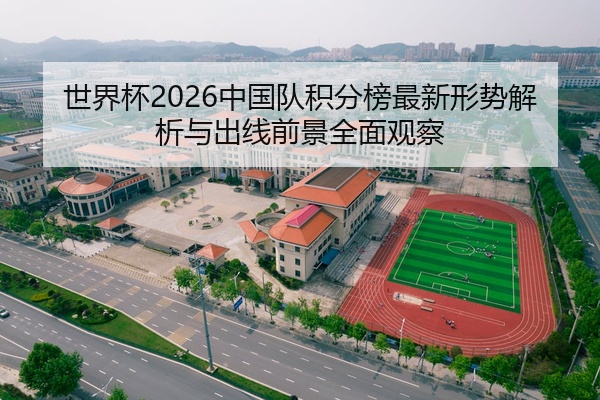 世界杯2026中国队积分榜最新形势解析与出线前景全面观察